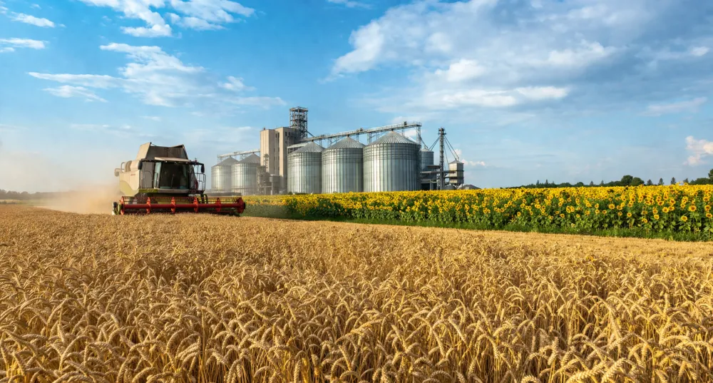 Комбайн збирає соняшник біля зернових елеваторів для Grain Ukraine 2026