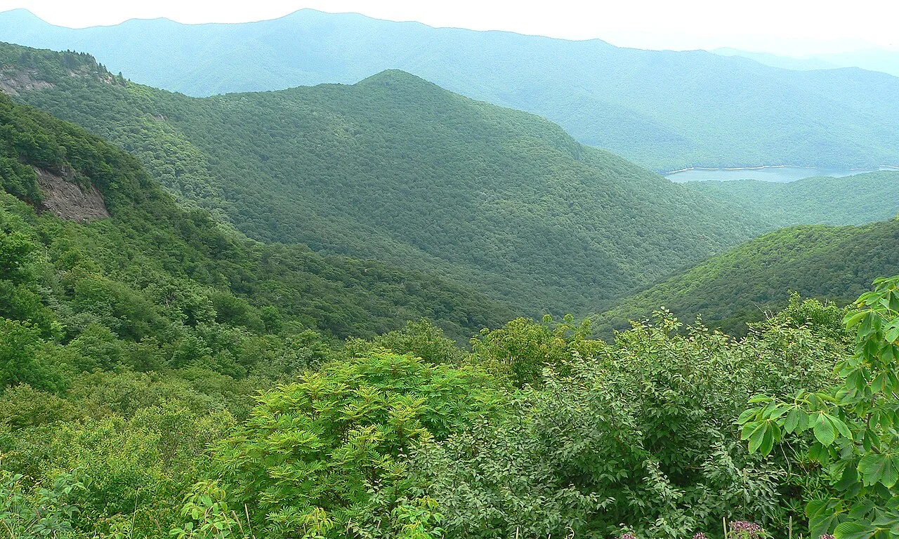 Панорама зелених гір Аппалачі з запасами 2,3 млн тонн літію під ними.