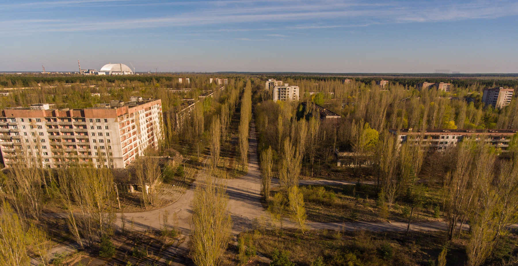 Покинуті багатоповерхівки в зоні відчуження, зарослі деревами та чагарниками