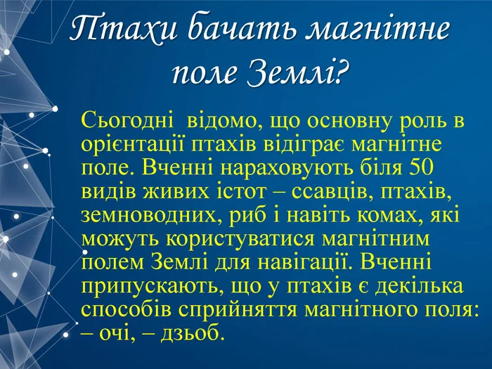 Птахи орієнтуються магнітним полем Землі за допомогою очей і дзьоба