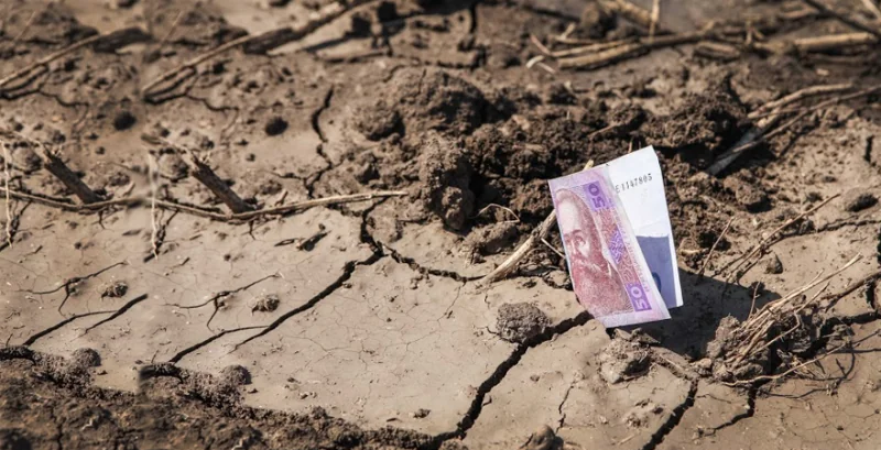 Банкнота 50 гривень на потрісканій землі як компенсація за втрачений врожай