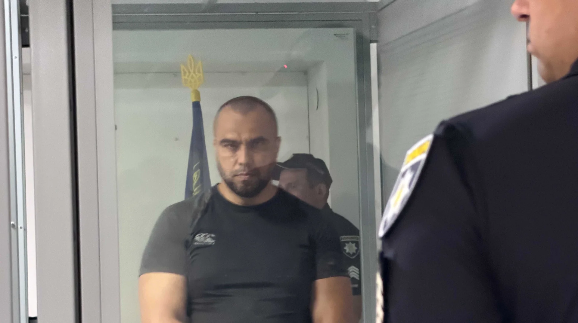 Киевский суд взял под стражу подозреваемых в убийстве Березовской Подозреваемый в убийстве Березовской под стражей в зале Киевского суда